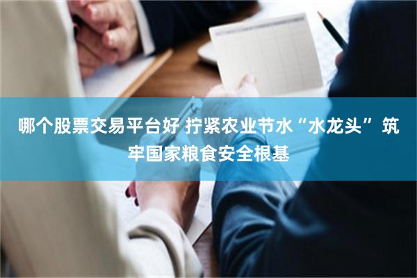 哪个股票交易平台好 拧紧农业节水“水龙头” 筑牢国家粮食安全根基