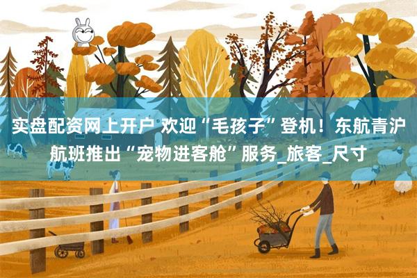 实盘配资网上开户 欢迎“毛孩子”登机！东航青沪航班推出“宠物进客舱”服务_旅客_尺寸