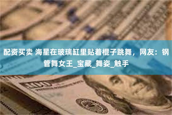 配资买卖 海星在玻璃缸里贴着棍子跳舞，网友：钢管舞女王_宝藏_舞姿_触手