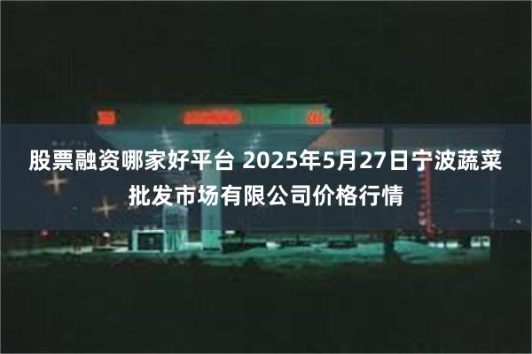 股票融资哪家好平台 2025年5月27日宁波蔬菜批发市场有限公司价格行情