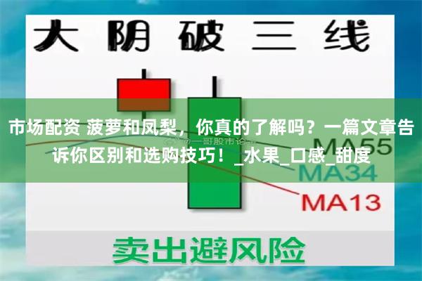 市场配资 菠萝和凤梨，你真的了解吗？一篇文章告诉你区别和选购技巧！_水果_口感_甜度