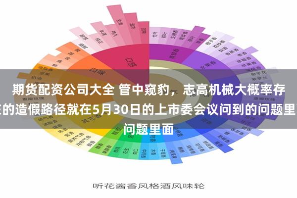 期货配资公司大全 管中窥豹，志高机械大概率存在的造假路径就在5月30日的上市委会议问到的问题里面