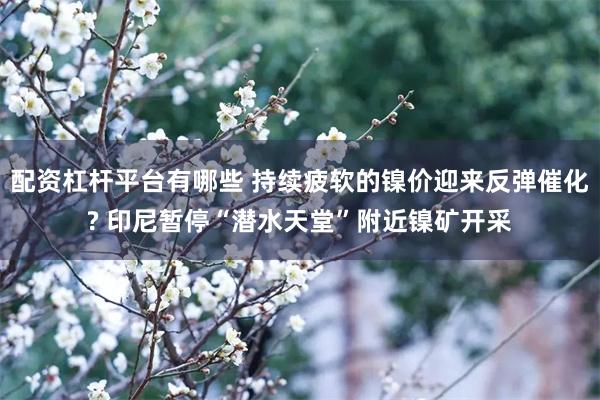 配资杠杆平台有哪些 持续疲软的镍价迎来反弹催化? 印尼暂停“潜水天堂”附近镍矿开采