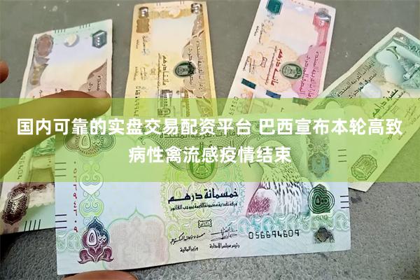 国内可靠的实盘交易配资平台 巴西宣布本轮高致病性禽流感疫情结束