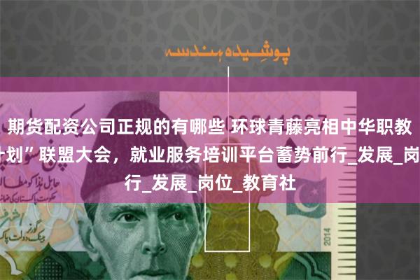 期货配资公司正规的有哪些 环球青藤亮相中华职教社“雨露计划”联盟大会，就业服务培训平台蓄势前行_发展_岗位_教育社